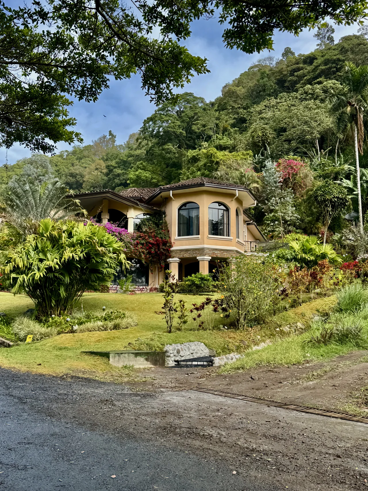 A lush garden and mountain landscape in Boquete