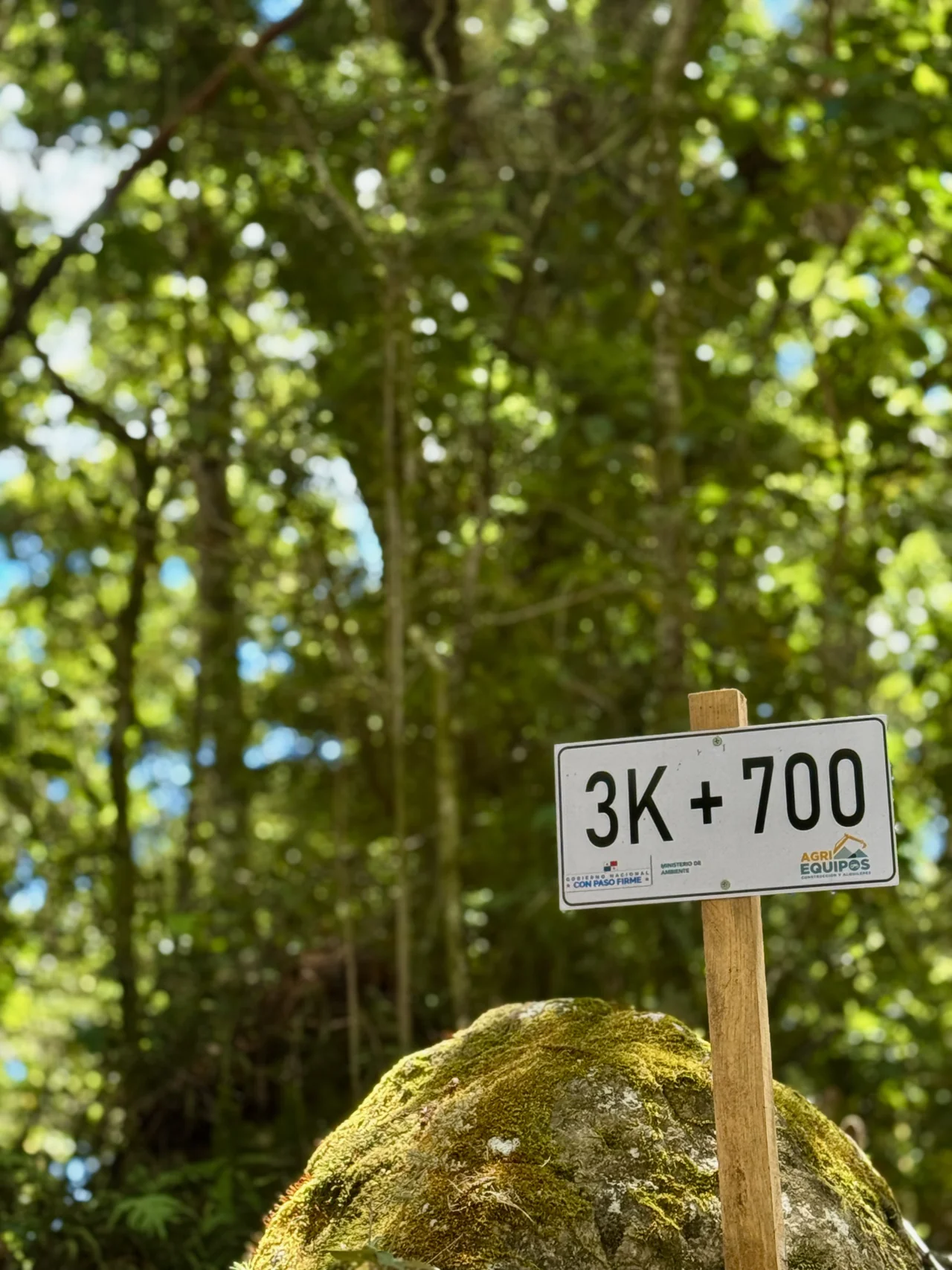 A walking trail beneath a green forest canopy in Panama